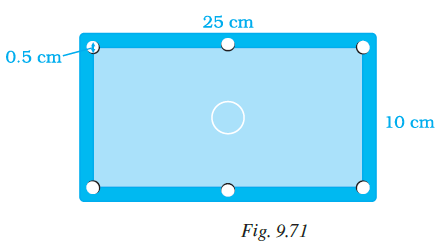 Page 299 Chapter 9 Class 7th NCERT Exemplar